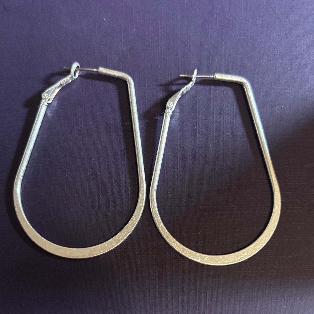 Elegant Silver Hoop Earrings